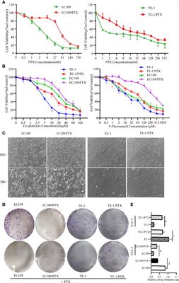 EMT and Cancer Cell Stemness Associated With Chemotherapeutic Resistance in Esophageal Cancer